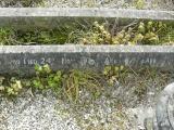 image of grave number 206899